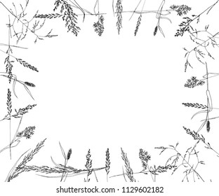 frame with spikelets , hand-drawn vector illustration