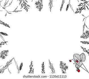 frame with spikelets , hand-drawn vector illustration