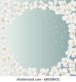 Frame spring blue background with blossoms jasmine  and  dewdrops vintage  vector botanical illustration  editable hand draw 