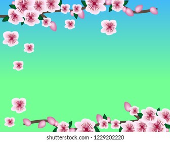 Frame spring cherry branch