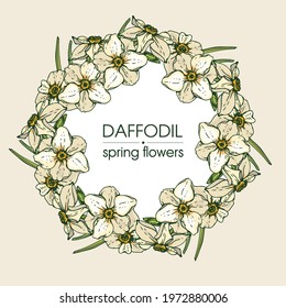 Frame with Spring flawers, daffodils. Detailed hand-drawn sketches, vector botanical illustration.
