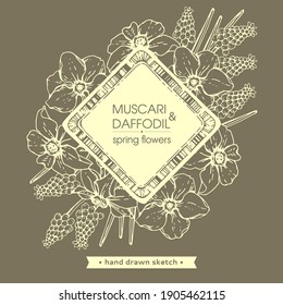 Frame with Spring flawers, daffodils and muscaries . Detailed hand-drawn sketches, vector botanical illustration.