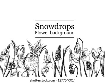 Frame with spring flowers. Ready postcard. Botanical illustration. Primroses, snowdrops, hellebore hand-drawn with ink and a pen.
Vector illustration
