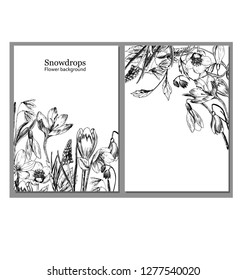 Frame with spring flowers. Ready postcard. Botanical illustration. Primroses, snowdrops, hellebore hand-drawn with ink and a pen.
Vector illustration