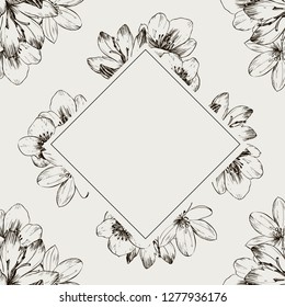Frame with spring flowers. Ready postcard. Botanical illustration. Primroses, snowdrops, hellebore hand-drawn with ink and a pen.
Vector illustration