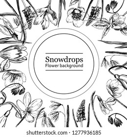 Frame with spring flowers. Ready postcard. Botanical illustration. Primroses, snowdrops, hellebore hand-drawn with ink and a pen.
Vector illustration