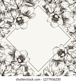 Frame with spring flowers. Ready postcard. Botanical illustration. Primroses, snowdrops, hellebore hand-drawn with ink and a pen.
Vector illustration