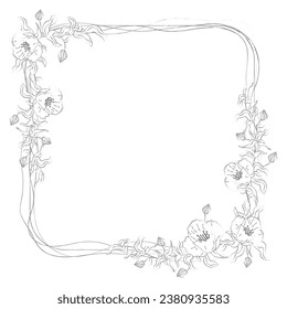 dibujo cuadrado de marco con hojas y líneas de flores fondo transparente