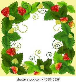 frame strawberry