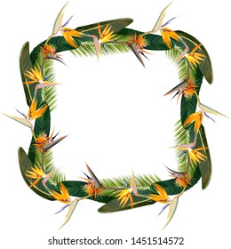 Frame with Strelitzia Reginae, orange tropical flower bouquets. Green leaves, orange and violet blossom. South African plant, so called crane flower or bird of paradise. Vector illustration.