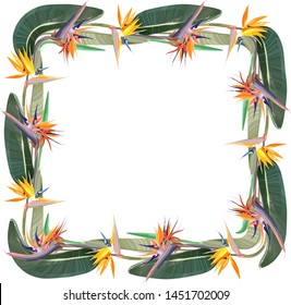 Frame with Strelitzia Reginae, orange tropical flower bouquets. Green leaves, orange and violet blossom design set. South African plant. Vector illustration.