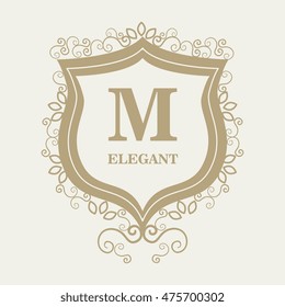 frame style elegant calligraphy vector illustration design