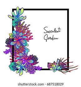 Frame of succulents.