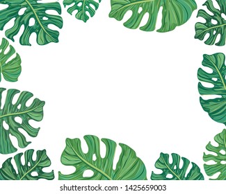 frame summer tropical leaves vector