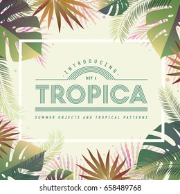 Marco con hojas tropicales de verano. Ilustración vectorial. 