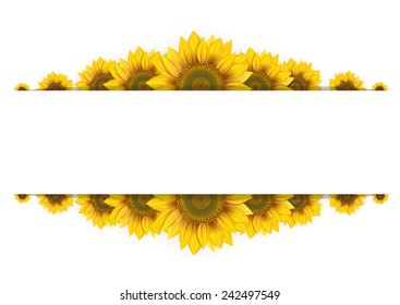 Frame of sunflowers on a white background