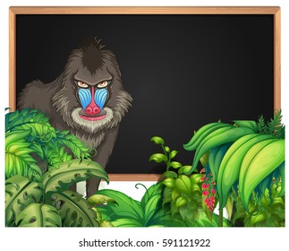 Frame template with baboon in forest background illustration
