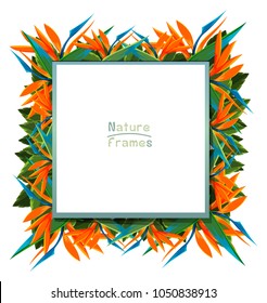 Frame template with bird of paradise flowers illustration