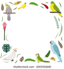 Frame template with cartoon exotic birds. Tropical rectangle composition with cockatoo, cockatiel, kakarike and neophema parrots. Design for kid nursery.