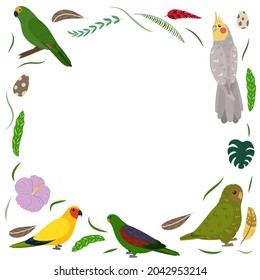 Frame template with cartoon exotic birds. Tropical rectangle composition with aratinga, kakapo, cockatiel and amazon parrots. Design for kid nursery.