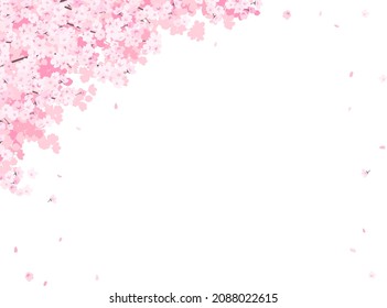 frame template with cherry blossoms in full bloom