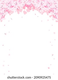 frame template with cherry blossoms in full bloom