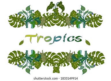 Frame template with green, beautiful tropical leaves.