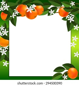 Frame template of tropical fruits.