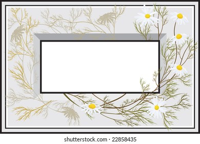 frame for text with chamomiles