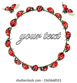 frame for text, greetings with ladybugs, isolate on a white background