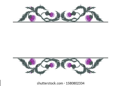 Frame for text with linear horizontal pattern of Scottish flower thistle on white. Hand drawn composition of Milk Thistle. Vector botanical illustration.