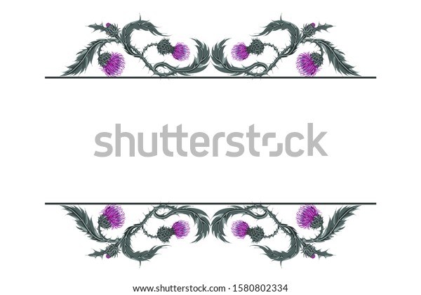 Frame for text with linear horizontal\
pattern of Scottish flower thistle on white. Hand drawn composition\
of Milk Thistle. Vector botanical\
illustration.