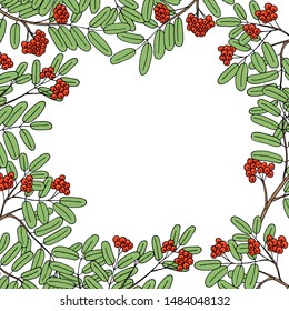 frame for text  or object in the center of Rowan branches vector illustration

