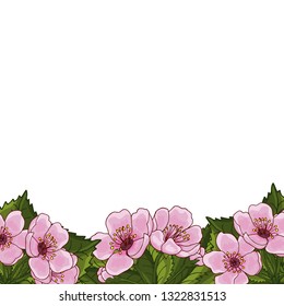 Frame for text with spring flowers of pink cherry, sakura, on a white background. Idea for design postcard, invitation, background, congratulation. Vector illustration EPS 10.