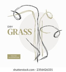 Frame for text from tall dry grass. Vector illustration in rustic style. For the design of invitations, cards, books about herbs