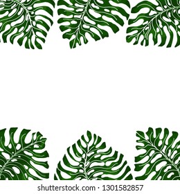 Frame for text with a white background and green exotic leaves monsteras hanging from two sides. Idea for poster, postcard, flyer. Tropical leaves. The current trend. Vector image.
