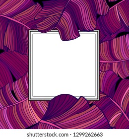 Frame for text with a white background in a frame of multi-colored, purple leaves of a banana tree, randomly scattered over a black background. Idea for poster, postcard, flyer. Tropical leaves.