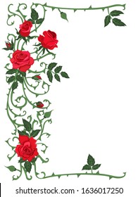 Frame of thorns and red roses isolated on a white background. Vector graphics.