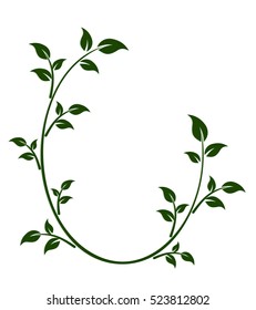 Frame with tree branch. 