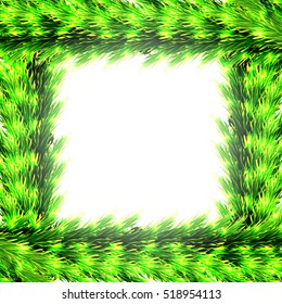 frame of tree branches