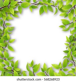 Frame of tree branches with green leaves and an empty space for text. Blank for advertising card or invitation.