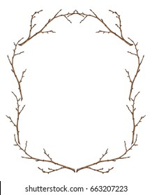 Frame from tree branches, isolated object, vector illustration