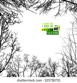 Frame tree branches. Vector