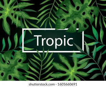 frame tropic of branches with leafs vector illustration design