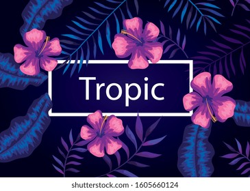frame tropic with flowers purple and leafs vector illustration design
