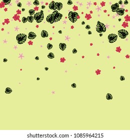 Frame with tropical flowers. Tropical background with a monster and hibiscus against a light background.