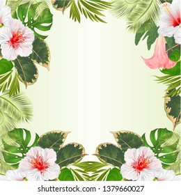 Frame tropical flowers  floral arrangement, with   white hibiscus and Brugmansia  palm,philodendron greeting card  vintage vector illustration  editable hand draw