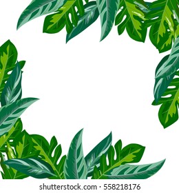 Frame from tropical leaf