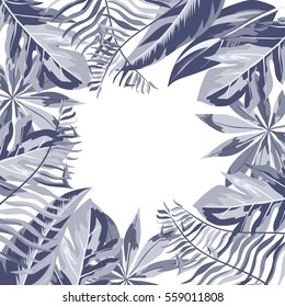 Frame from tropical leaf
