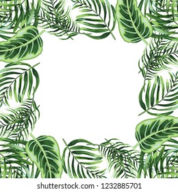 Frame of tropical leaves.
